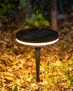 Iwa Ground Light lighting a serene Japandi-style backyard at night